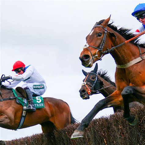 race horse commentary|Iba pa.
